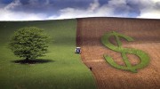 Agricultores receberam R$ 3,6 bilhões em indenizações de seguro rural entre janeiro e outubro de 2021