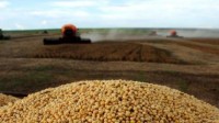 Colheita em Mato Grosso atingiu 4,1% da área de soja.