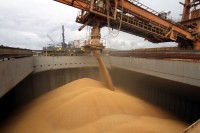 Após recuo em 2014, Paranaguá quer voltar a subir no ranking de exportação de soja.