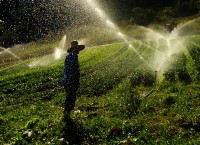 RS: Escassez de água desafia agricultores a serem mais eficientes e evitarem desperdício na lavouras.