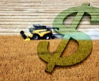 Ministra da Agricultura anuncia R$ 9 bilhões em crédito para pré-custeio da safra.