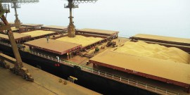 Soja: 90% dos embarques brasileiros de soja são de contratos firmados antecipadamente